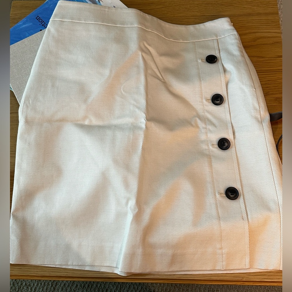 Ann Taylor skirt size 4